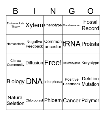 Vocab Bingo  Bingo Card