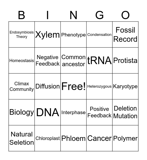 Vocab Bingo  Bingo Card