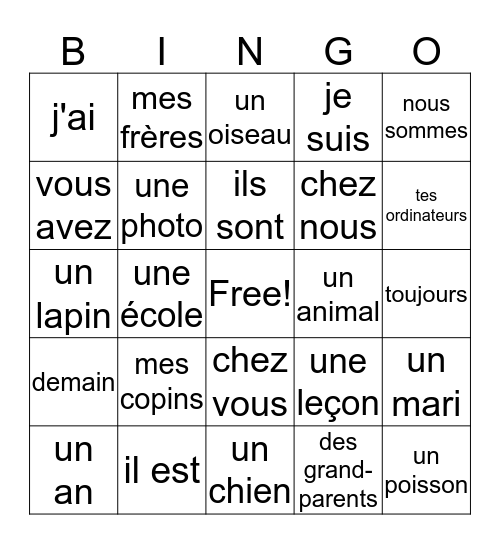 Frans: unité 13 Bingo Card