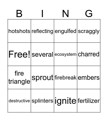 Vocabulary Bingo Card