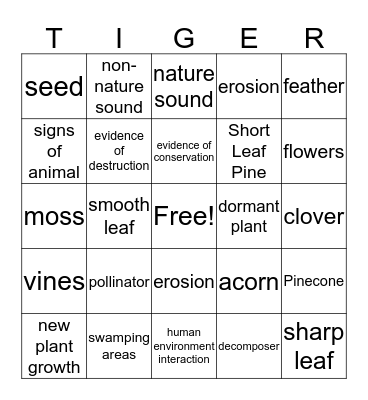 Tiger Nature Walk Bingo Card