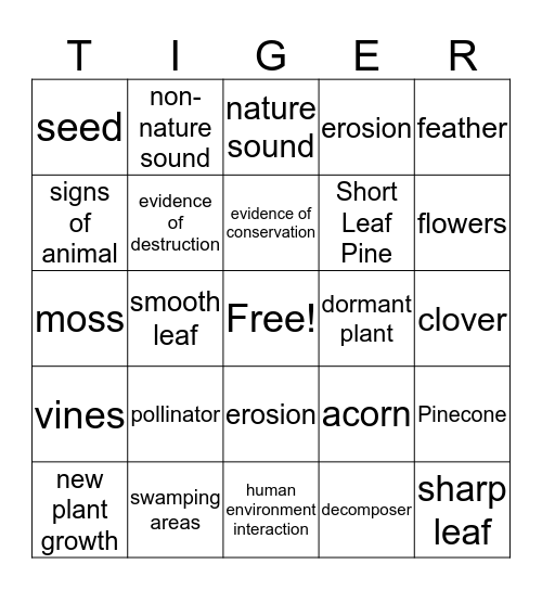 Tiger Nature Walk Bingo Card