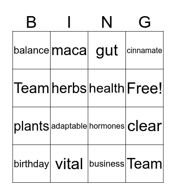 Solle Bingo Card