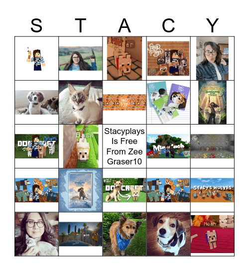Stacyplays Bingo Card