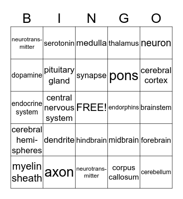 Brain Bingo Card