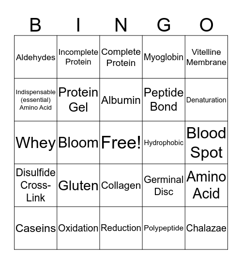 Proteins Bingo Card