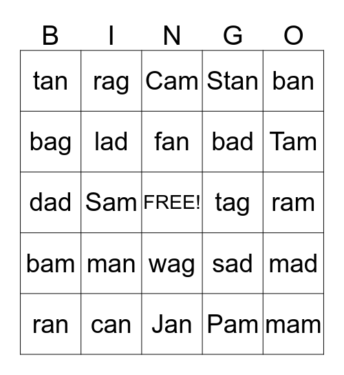 Kinder Word Family Words Bingo Card