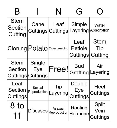 Unit 17 Bingo Card