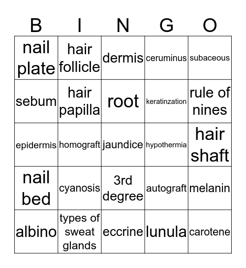 Chapter 6- Skin Bingo Card