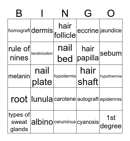 Chapter 6- Skin Bingo Card