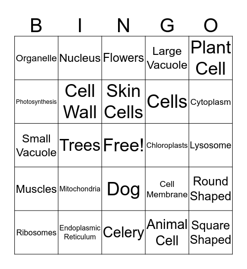 Cells, Cells, They're Made of Organelles! Bingo Card