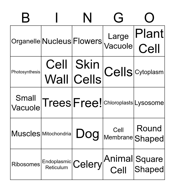 Cells, Cells, They're Made of Organelles! Bingo Card