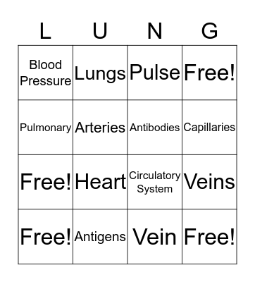 The Circulatory System Bingo Card