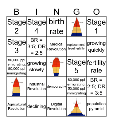 Demography & DTM Bingo Card