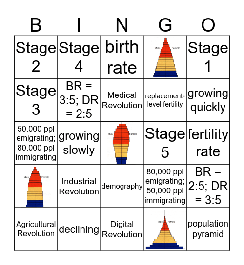Demography & DTM Bingo Card