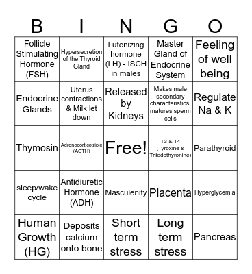 Endocrine System Bingo Card