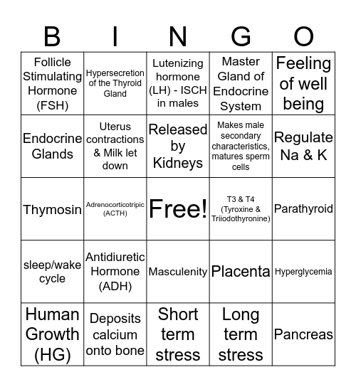 Endocrine System Bingo Card