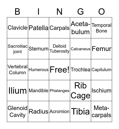 Appendicular Skeleton Bingo Card