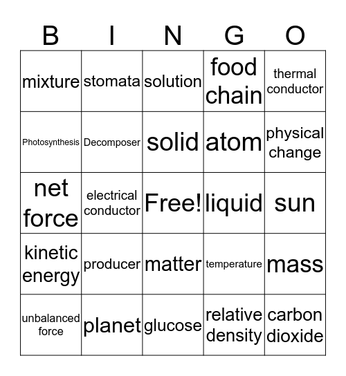 T3 Vocabulary Review Bingo Card