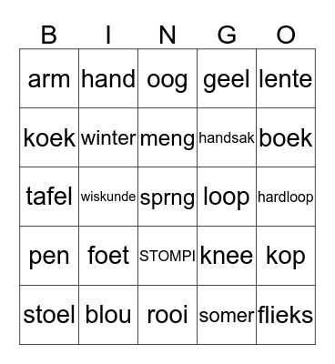 AFRIKAANS WORDS  Bingo Card