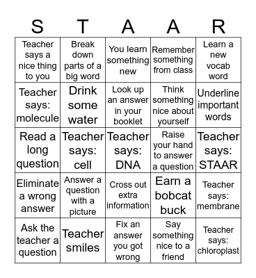 Biology EOC Tutorial Bingo Card