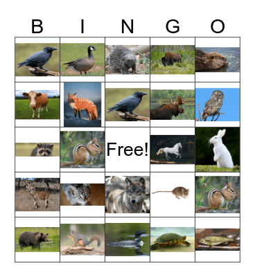 Wesiinyag -Animals Bingo Card