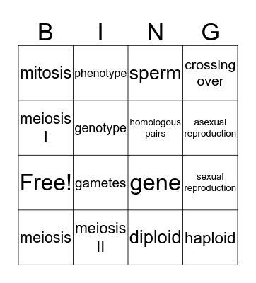Meiosis Bingo Card
