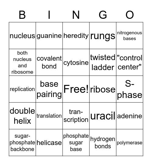 DNA/RNA Bingo Card