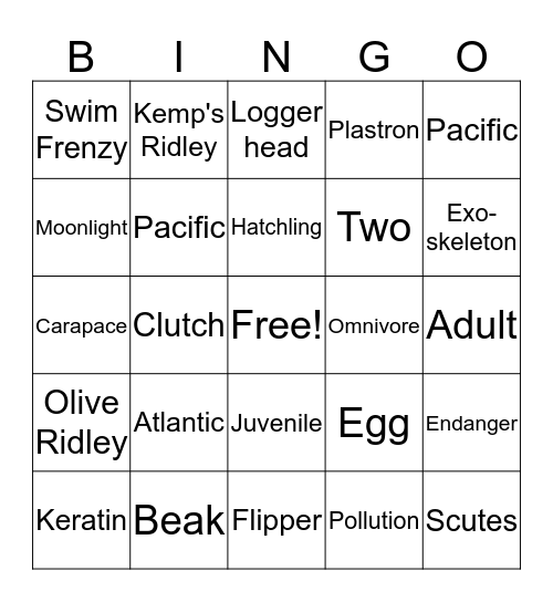 Turtles Bingo Card