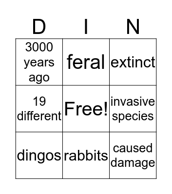 Dingo Bingo Card