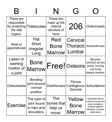 Skeletal System Bingo Card