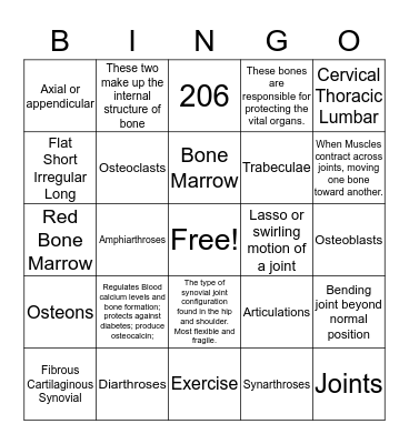 Skeletal System Bingo Card