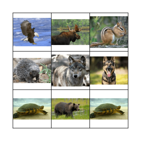 Wesiinyag- Animals Bingo Card