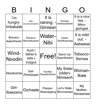 Baakaanaage Bingo Card
