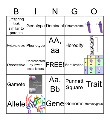 Genetics Vocabulary  Bingo Card