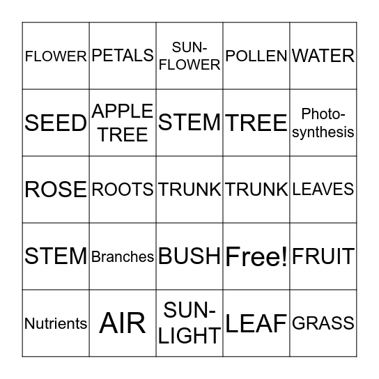 Plants Bingo Card