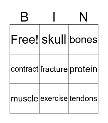 Musculoskeletal System Bingo Card