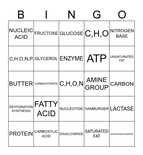 MACROMOLECULES- CHEMICALS OF LIFE Bingo Card