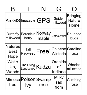 CISMA BINGO Card