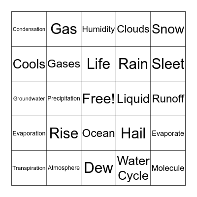 Water Cycle BINGO Card