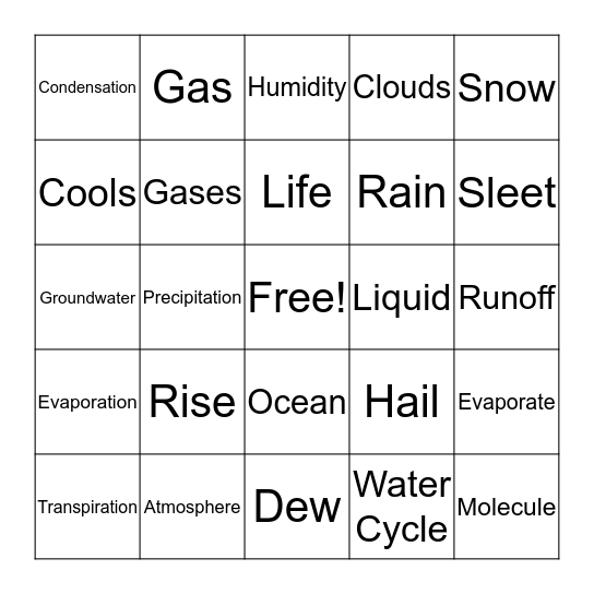 Water Cycle BINGO Card