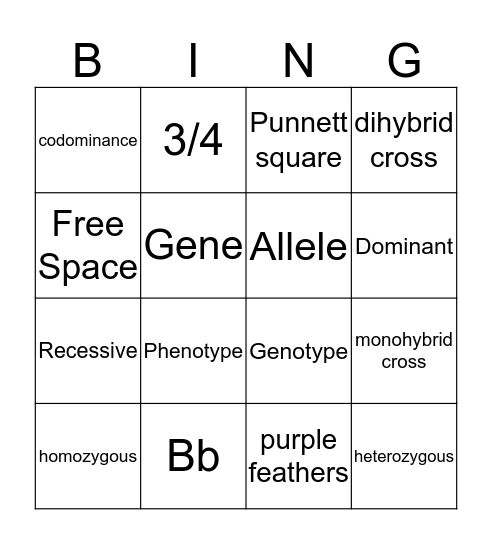 Punnett Squares Bingo Card