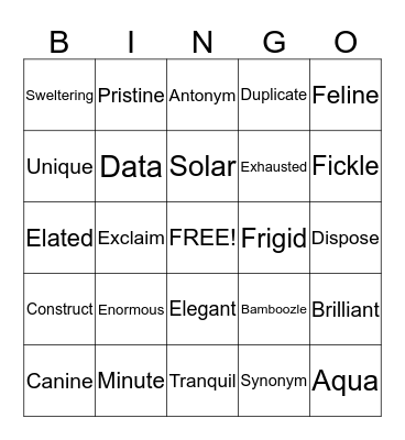 Sizzle Vocabulary Word Play Bingo Card