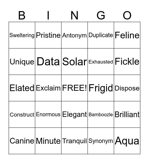 Sizzle Vocabulary Word Play Bingo Card