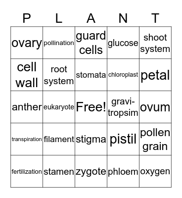 Plant Structure, Function, and Reproduction Bingo Card