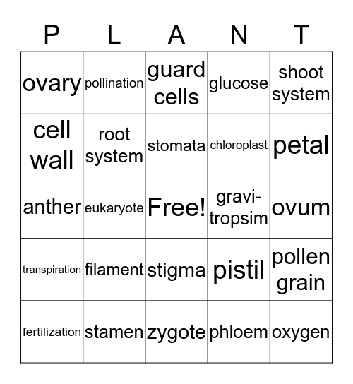 Plant Structure, Function, and Reproduction Bingo Card