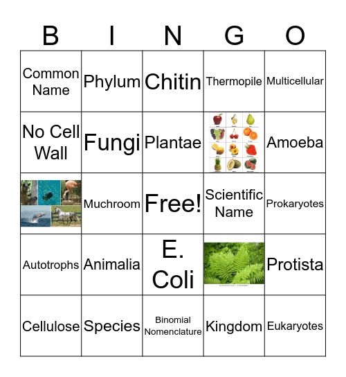 Wild About Taxonomy! Bingo Card