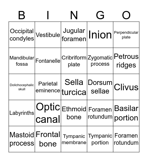 Cranial Bone Bingo Card