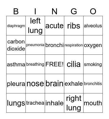 Respiratory System Game Bingo Card