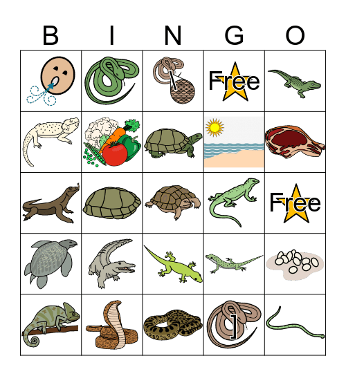 Reptiles Bingo Card